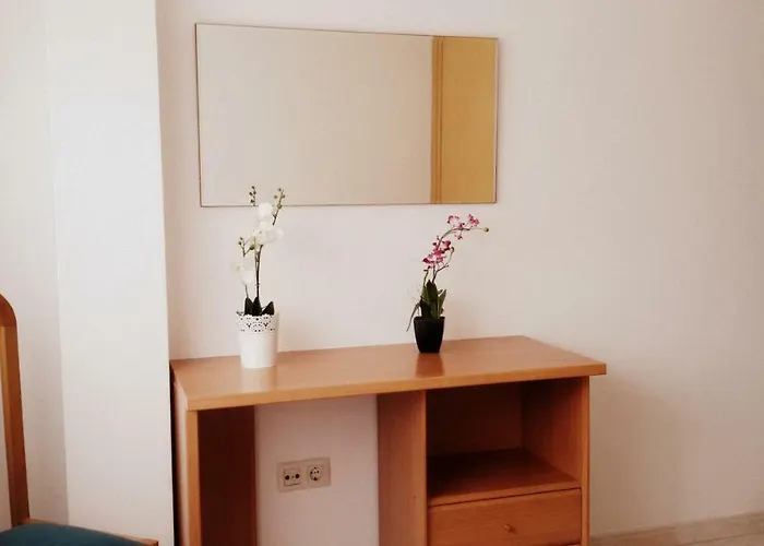 Apartamentos O Grove *